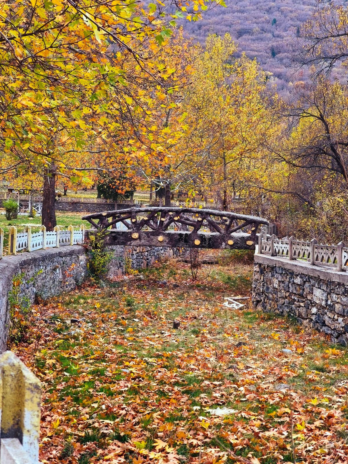 Konya’nın cennet köşesi sonbahar renkleriyle büyülüyor 17